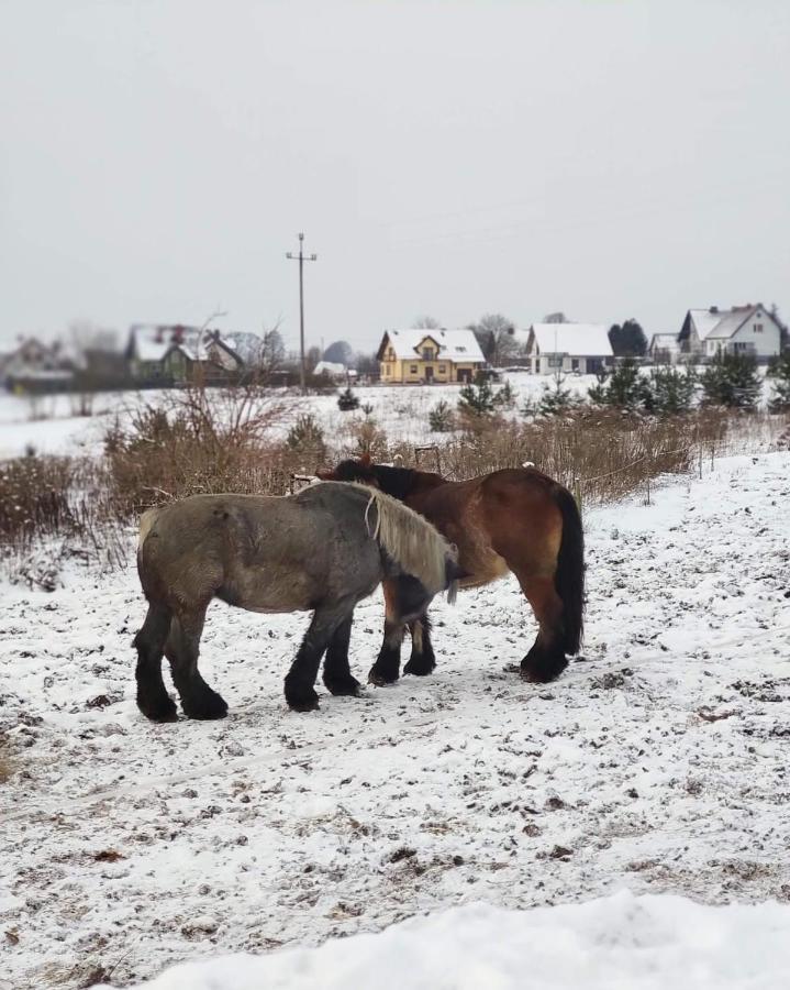Jeziorna 26 Villa Potuly Dış mekan fotoğraf